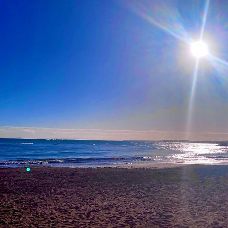 De Vacaciones Daire Torrevieja Dış mekan fotoğraf